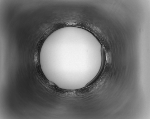 X0000095931444200802011012