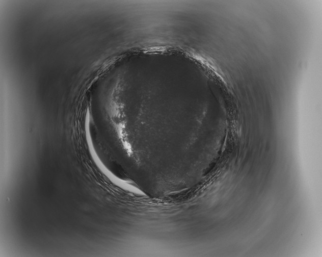 X0000095931445200802011011