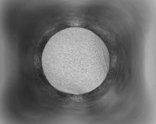 X0000095931446200802011011