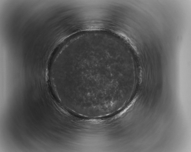 X0000095931449200802011011