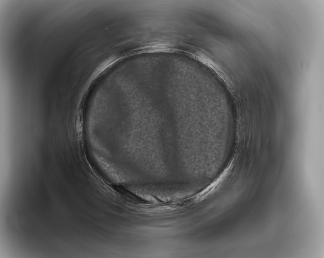 X0000095931450200802011011