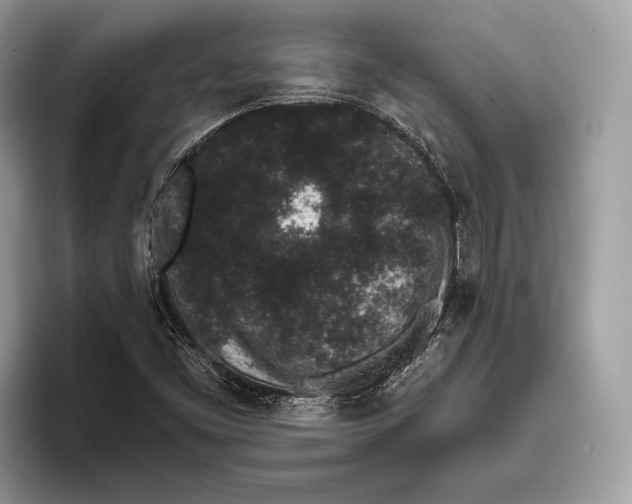 X0000095931453200802011011