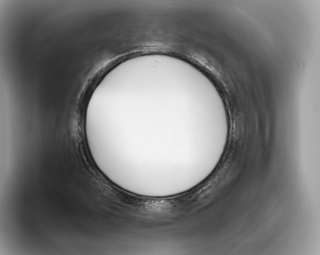 X0000095931454200802011011