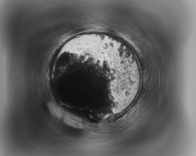 X0000095931455200802011011