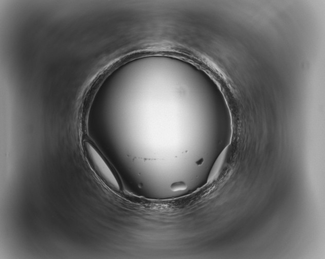 X0000095931456200802011011