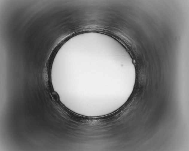 X0000095931458200802011011