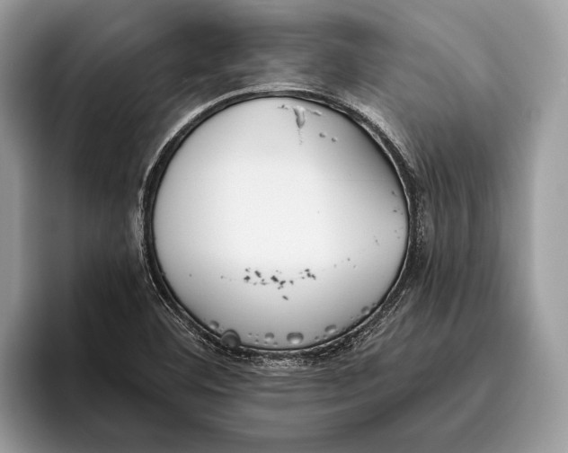 X0000095931460200802011011