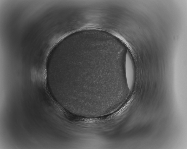 X0000095931461200802011011