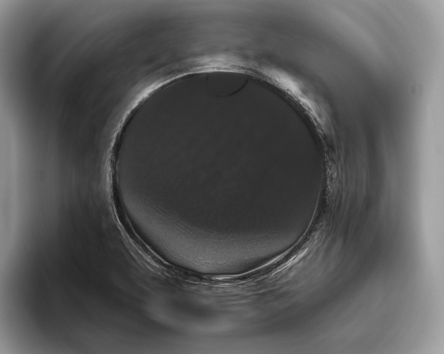 X0000095931463200802011011