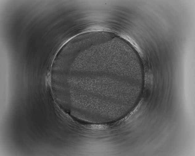 X0000095931465200802011011