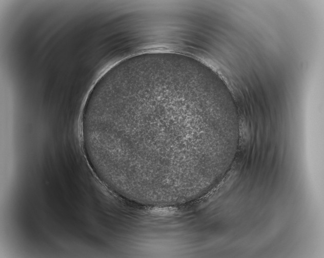 X0000095931466200802011011