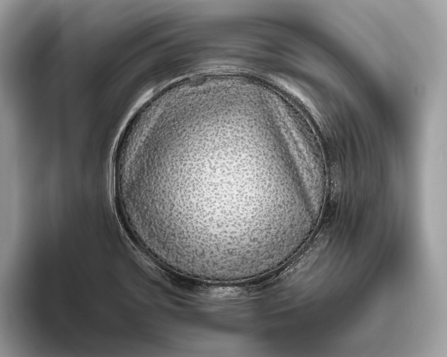 X0000095931467200802011011