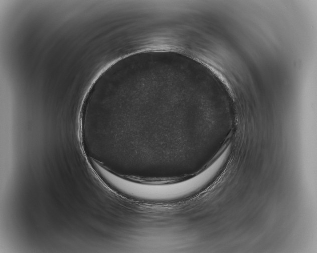 X0000095931468200802011011