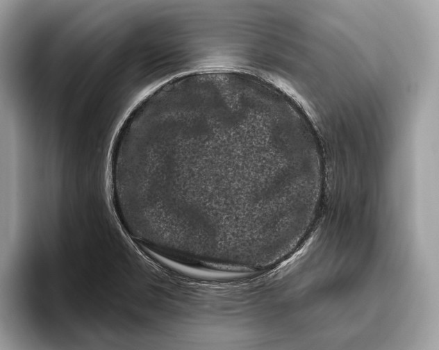 X0000095931469200802011011