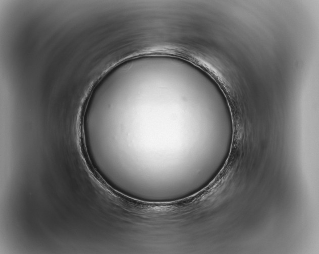 X0000095931471200802011011