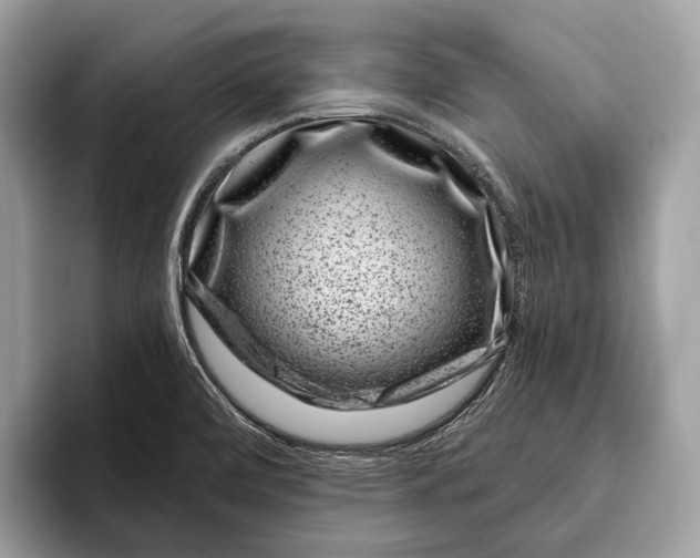 X0000095931472200802011011