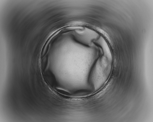 X0000095931473200802011011