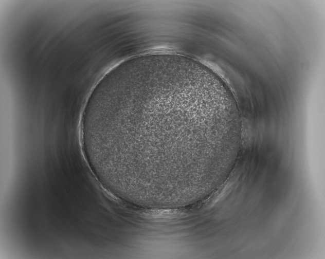 X0000095931474200802011011