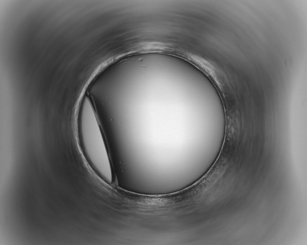 X0000095931475200802011011