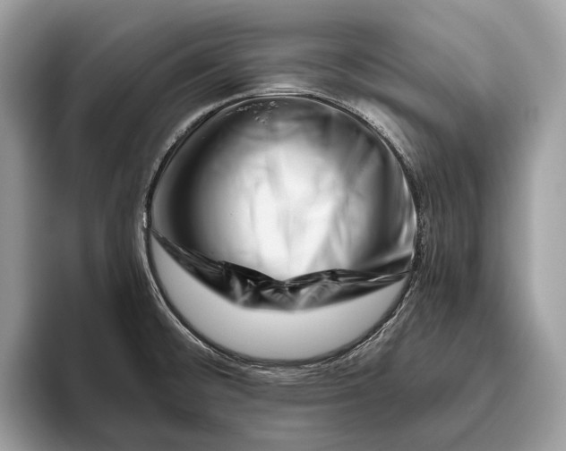 X0000095931476200802011011