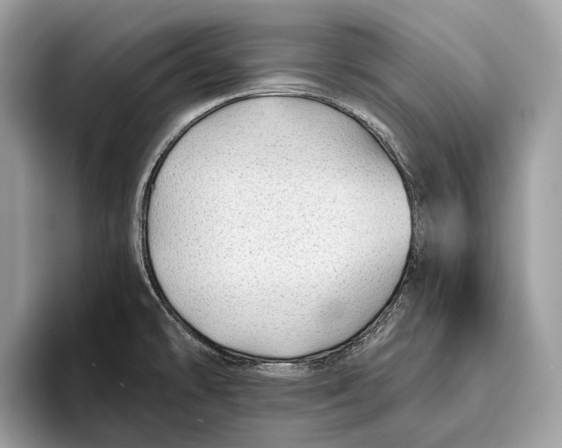 X0000095931478200802011011