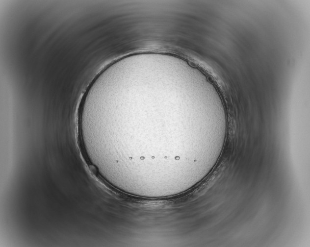X0000095931479200802011011
