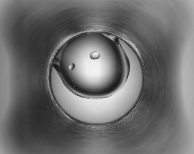 X0000095931480200802011011