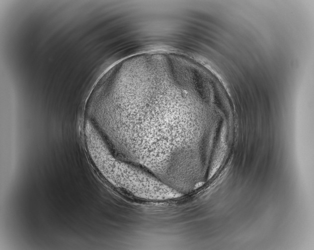 X0000095931481200802011011