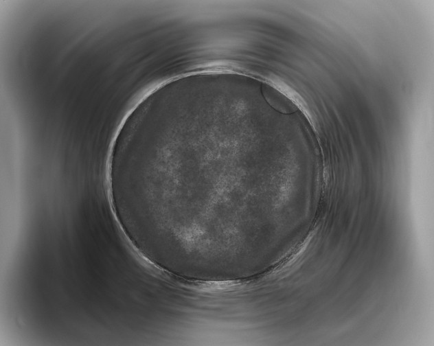 X0000095931482200802011011