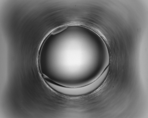 X0000095931484200802011011