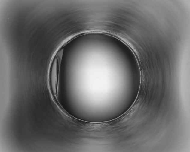 X0000095931485200802011011