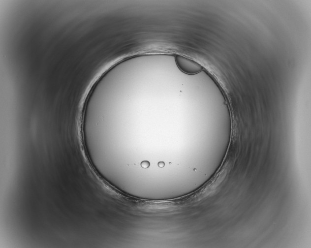 X0000095931486200802011011