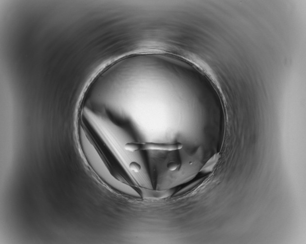 X0000095931488200802011011