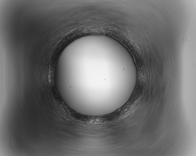 X0000095931490200802011010