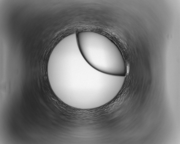 X0000095931492200802011010