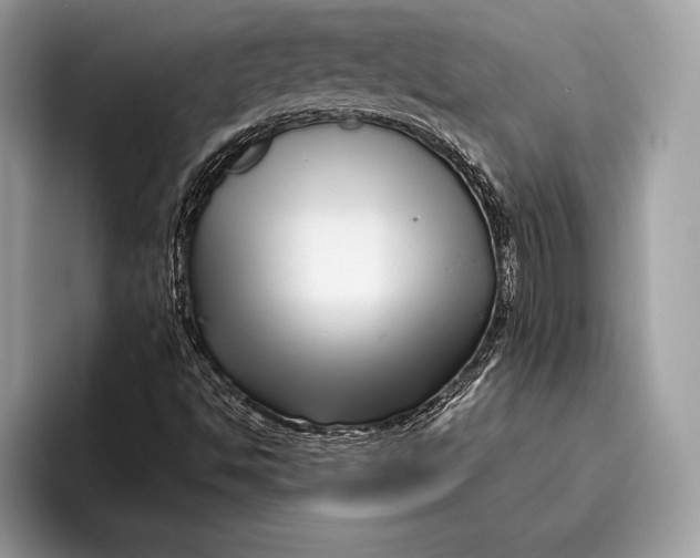 X0000095931494200802011010