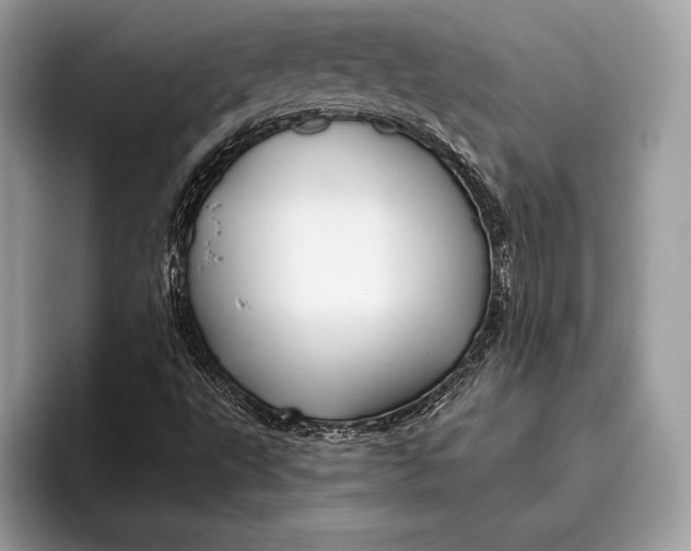 X0000095931495200802011010