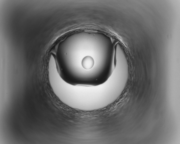X0000095931496200802011010