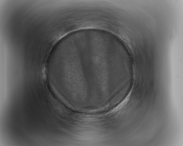 X0000095931497200802011010