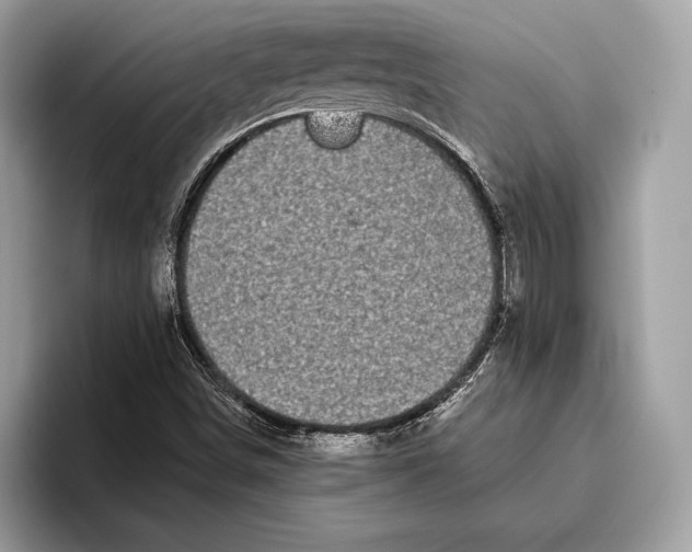 X0000095931498200802011010