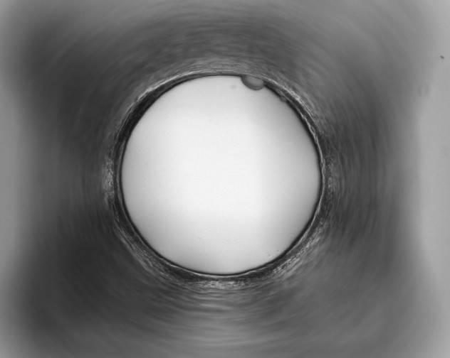 X0000095931499200802011010