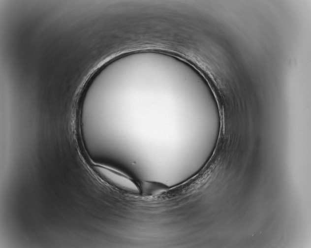 X0000095931500200802011010