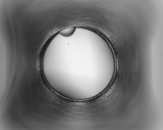 X0000095931501200802011010