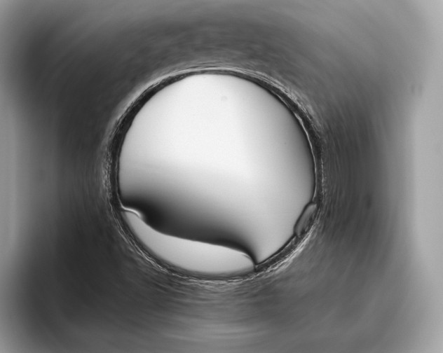 X0000095931502200802011010