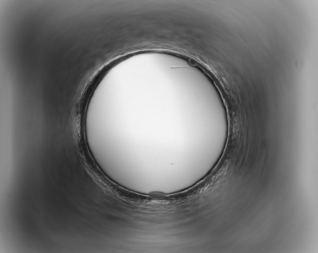 X0000095931503200802011010