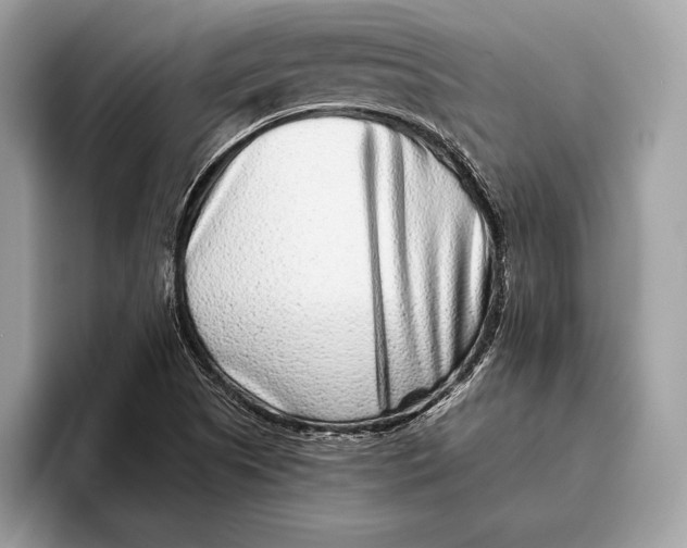 X0000095931505200802011011