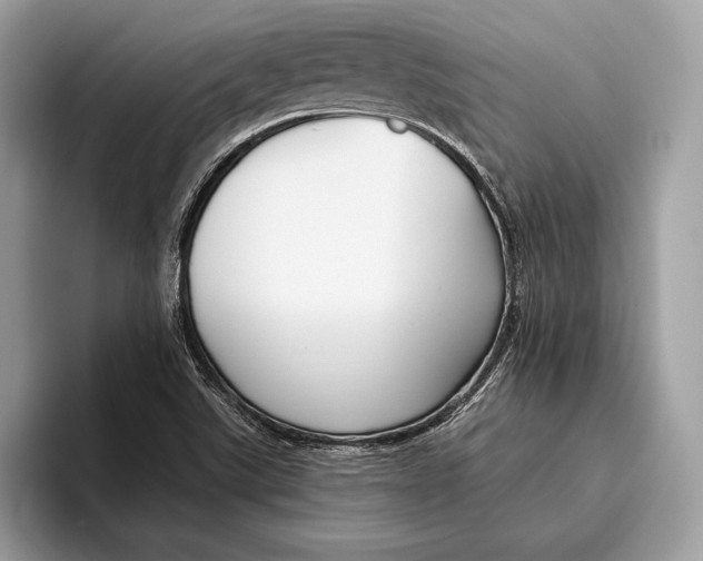X0000095931507200802011011
