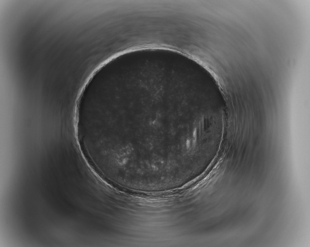 X0000095931508200802011011