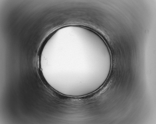 X0000095931509200802011011