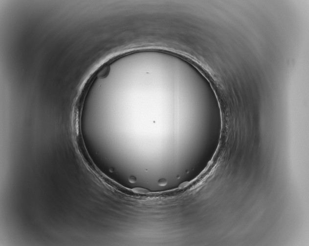 X0000095931510200802011011